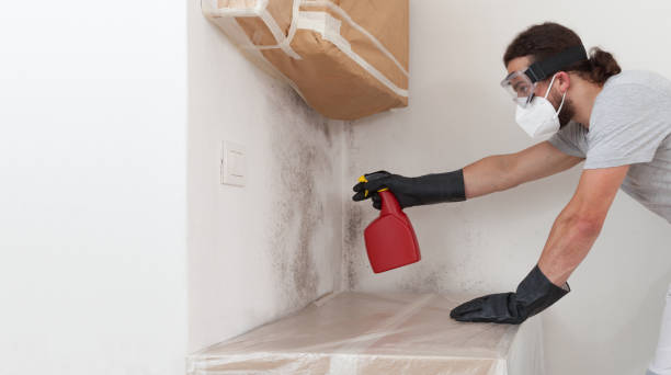 Professional Mold Removal technician working in Lewistown, IL